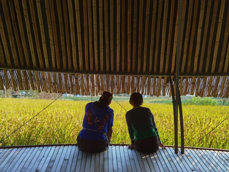 在上海,這些農(nóng)場(chǎng)正越來(lái)越受歡迎