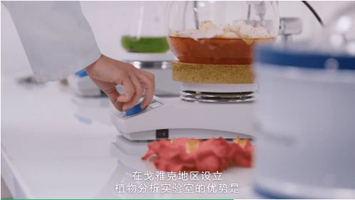 林清軒炮轟香奈兒,紅山茶花之爭(zhēng)究竟是 不正當(dāng)競(jìng)爭(zhēng) 還是越級(jí) 碰瓷